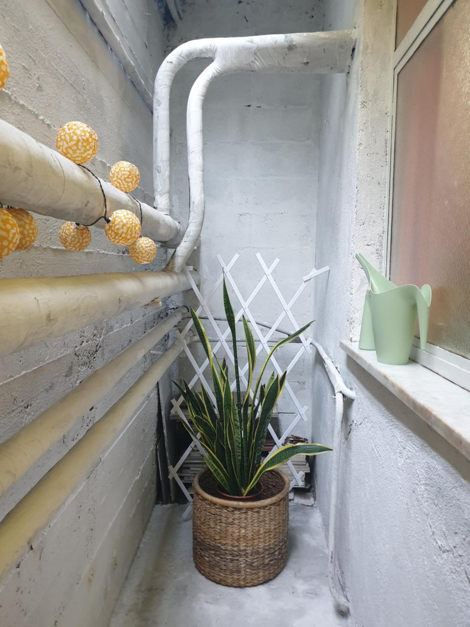 Apartament Laya Valentina